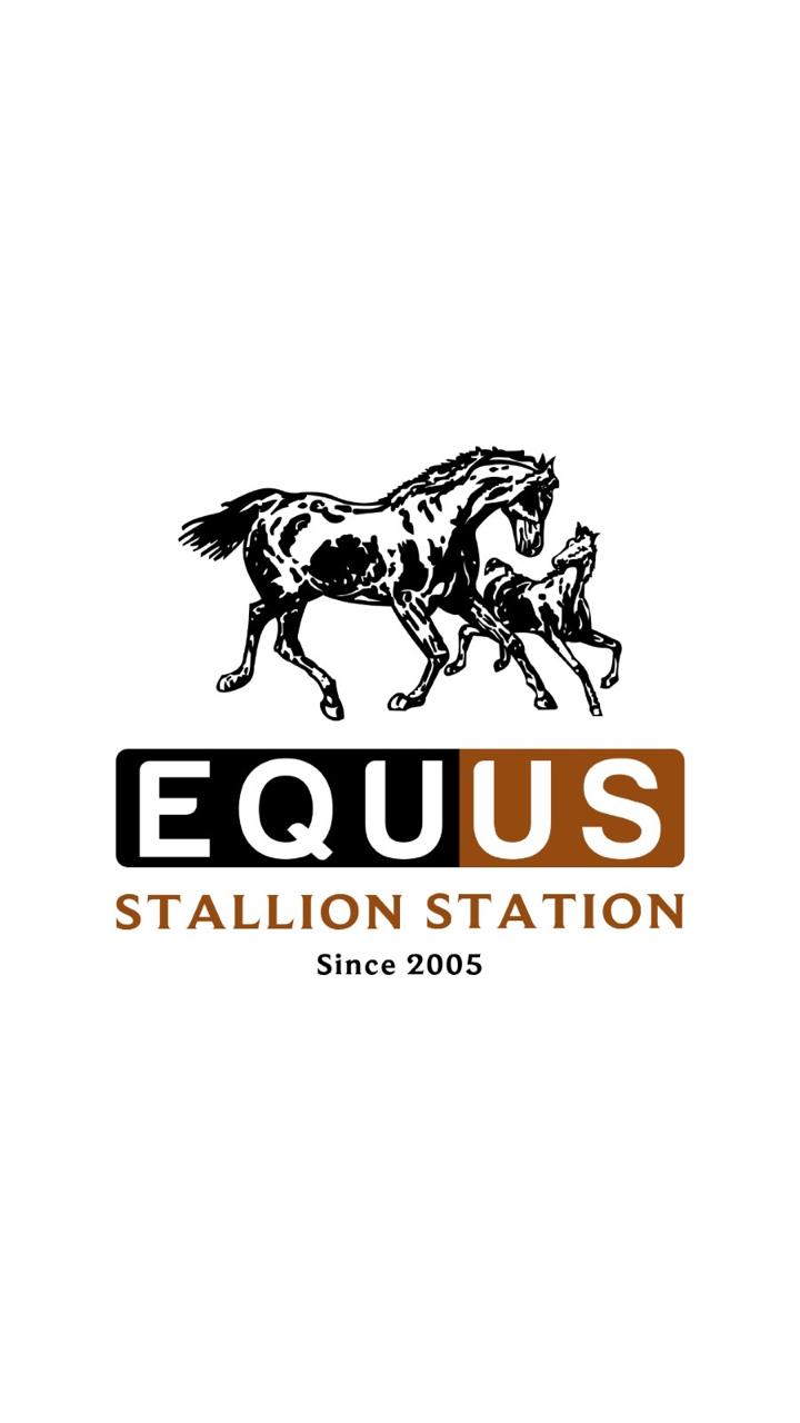 Equus